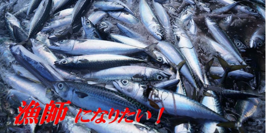 \サラリーマン漁師ってなに!?/黒潮の豊かな水産資源をもつ高知で理想の”漁師”を目指す!
