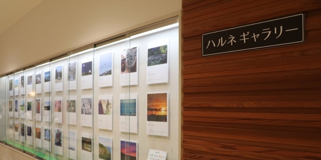 【小田原の写真をインスタグラムから募集】＃小田原のチカラ　写真展を開催します