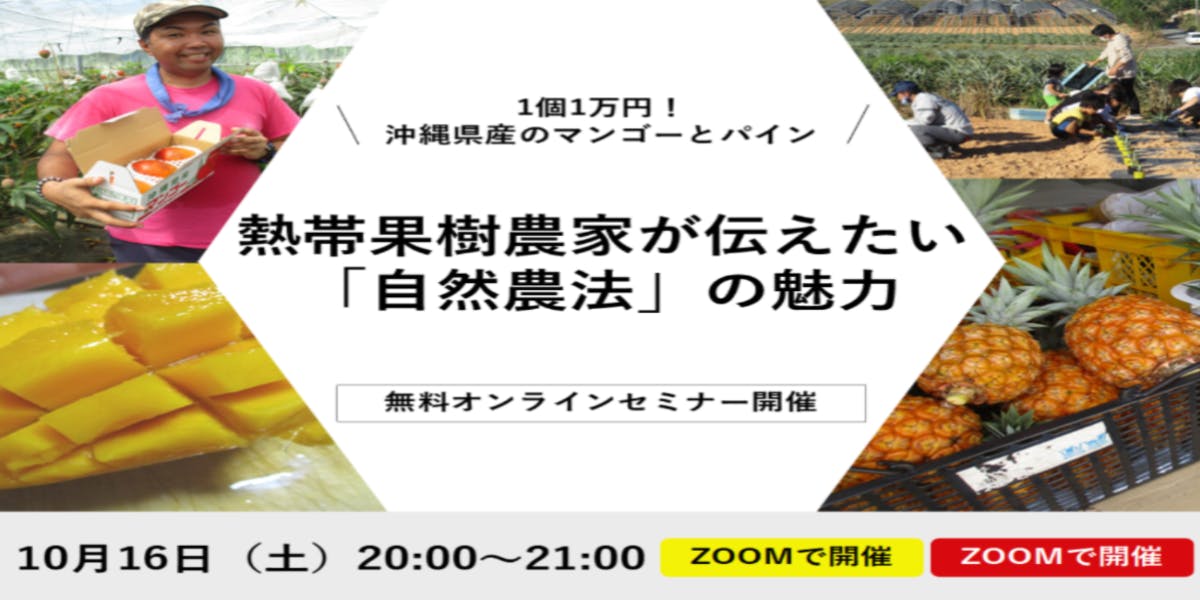 1個1万円!沖縄県産マンゴーとパインを栽培する農家が伝えたい