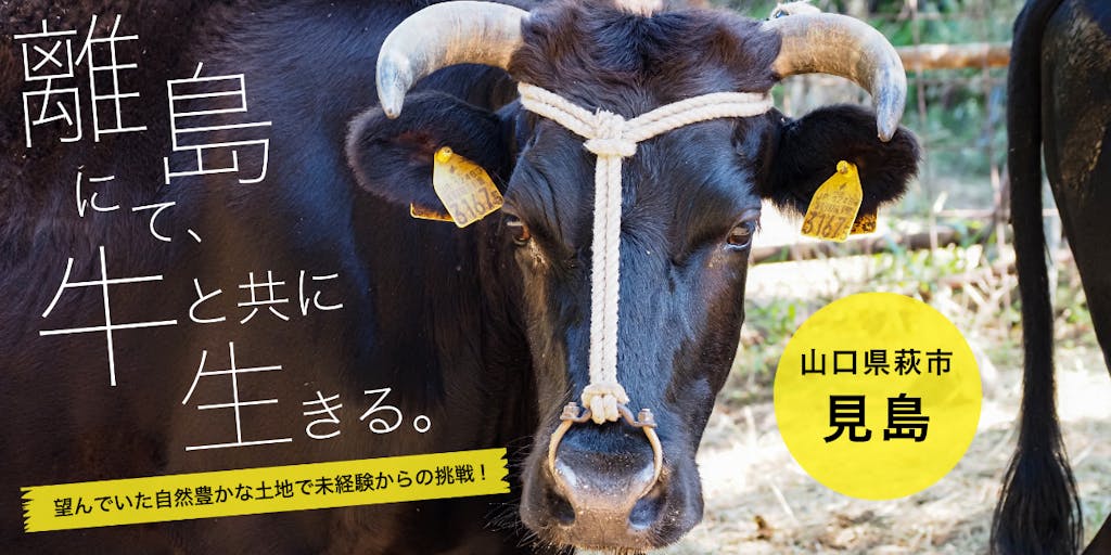 離島にて、牛と共に生きる。～萩市地域おこし協力隊活動レポート～