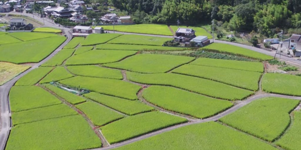 【参加費無料！】温暖で自然が豊かな兵庫県上郡町で「農業や地域活動」にチャレンジしてみませんか？