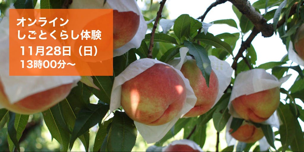 【オンライン開催】自然に近い方法で桃を栽培。桃農家の3代目が考える和歌山のしごとと暮らし
