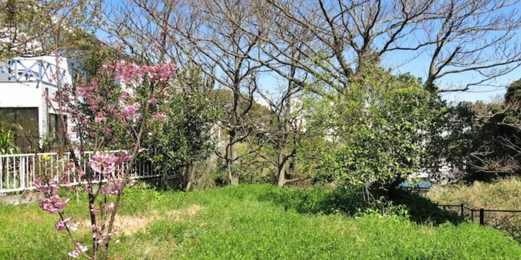 豊かな自然が残る小網代の森を庭に。「終わらない夏」のすごしかた　by鎌倉R不動産
