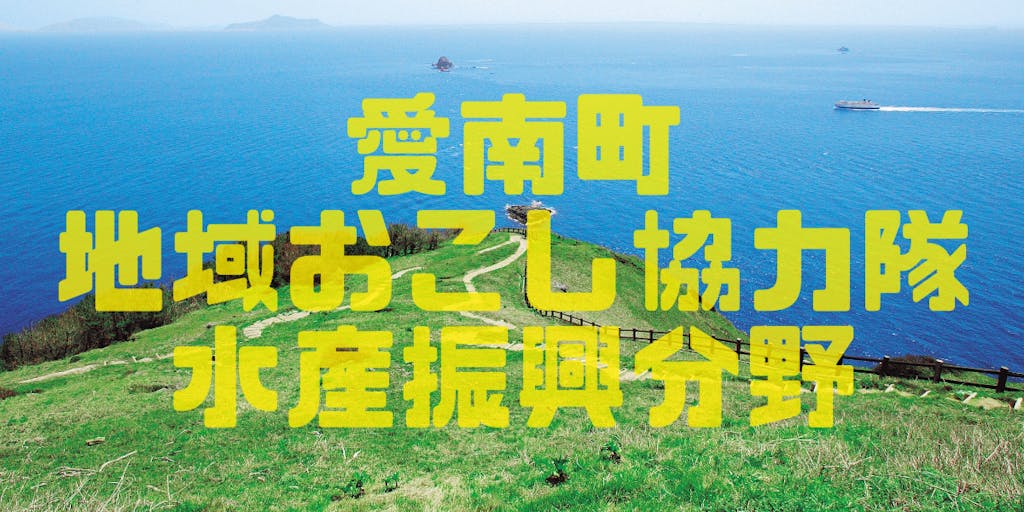 愛南町地域おこし協力隊(水産振興分野)募集