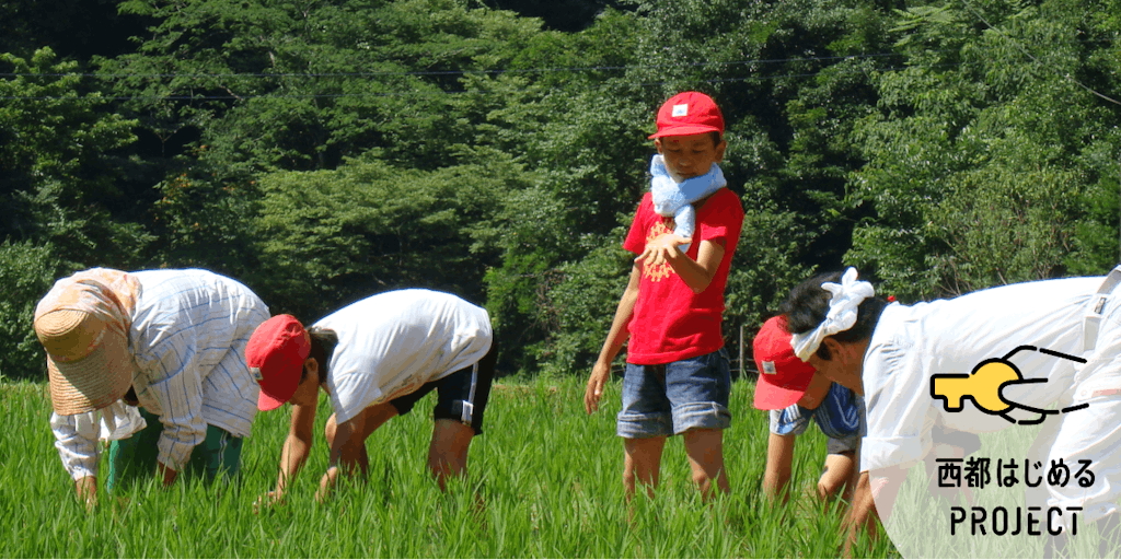 農業を始めたいなら、宮崎県西都市へお越しください！【研修・支援・補助金有り】