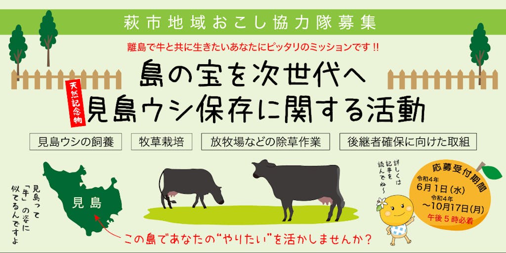【地域おこし協力隊・インターン募集】日本最後の純血和種「見島牛」を未来につなぐ