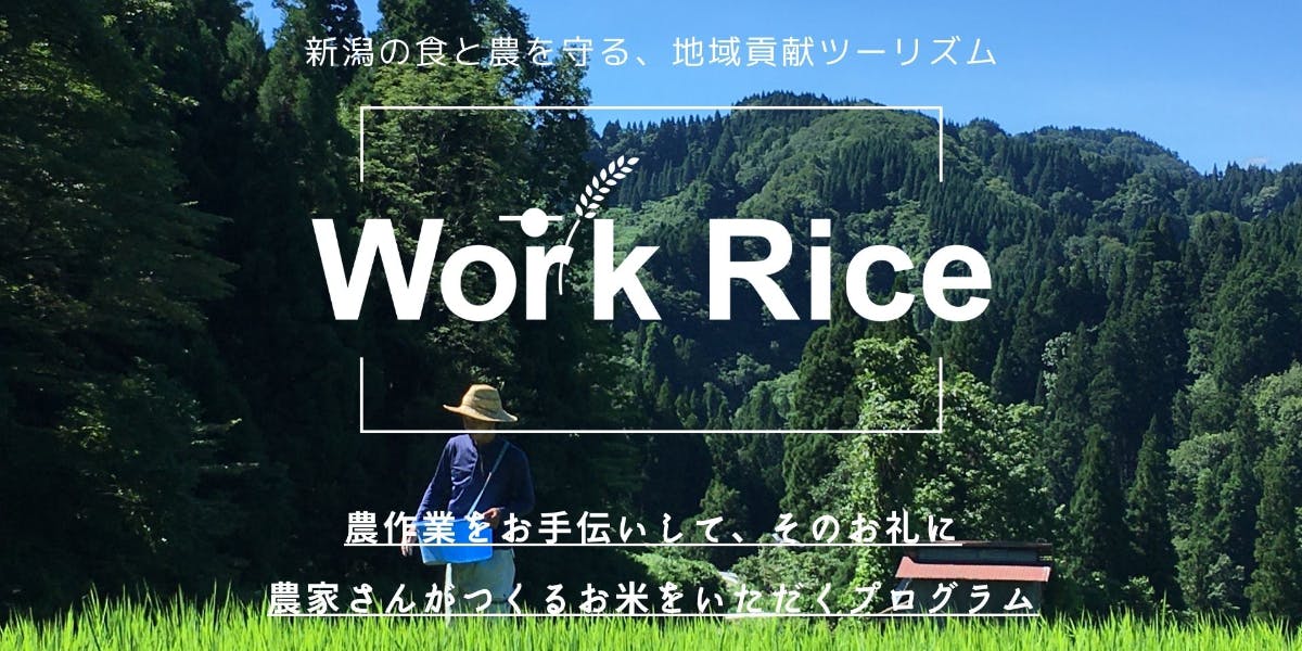 お買い上げありがとうございました。「お米を作っている農家必見 