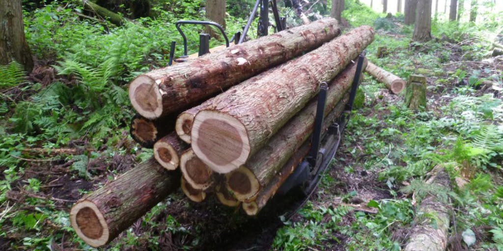 岩手県普代村の「持続可能な森林づくりプロジェクト」に貢献していただける方を募集しています！