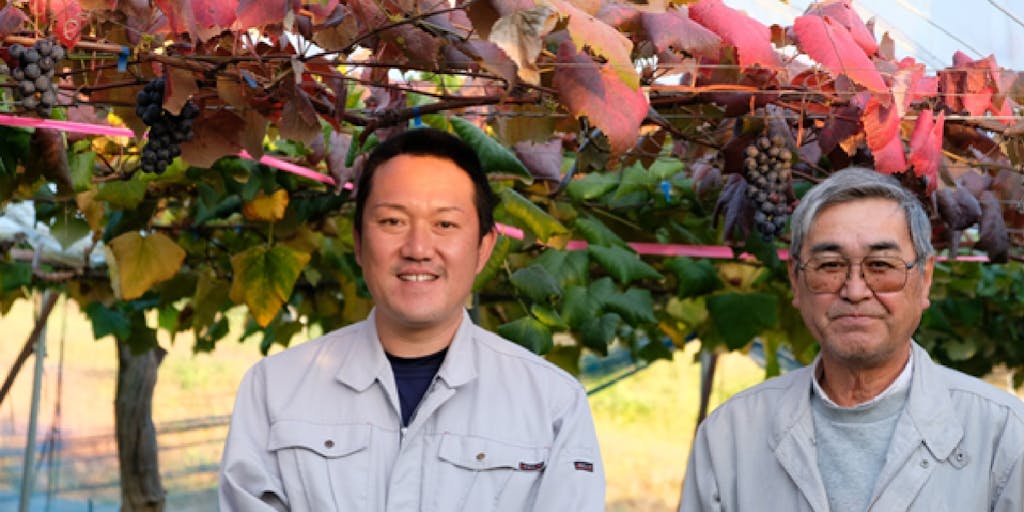 【岩手・花巻市大迫町】葡萄が丘農業研究所ってこんなところ！大迫町のぶどう栽培！