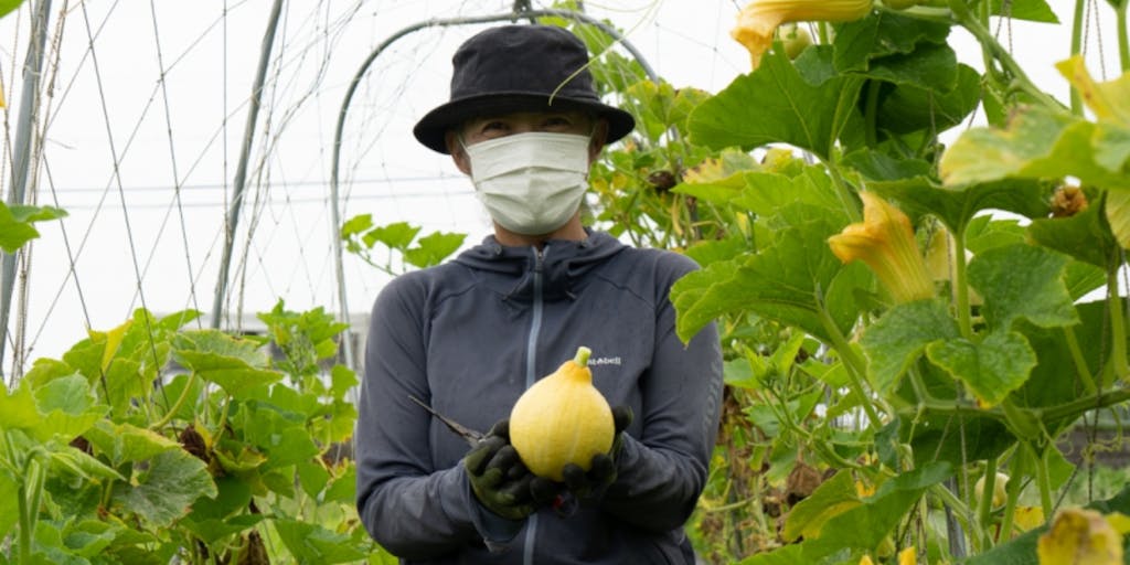神戸の新規就農野菜農家で学ぶ健康でおいしい野菜の作り方