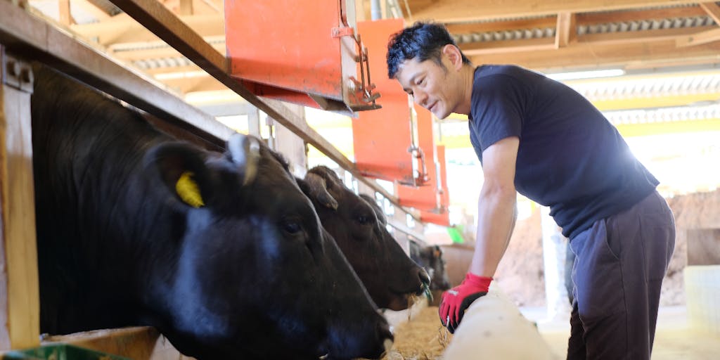 ～三重県熊野市で働く～【自然の恵みを活かしてブランド牛を育てている牧場で働きませんか？】