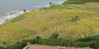 輪島でお店を始めませんか?起業・新規出店を支援します。