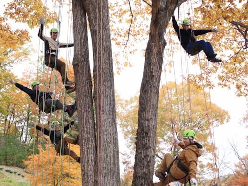 地域資源を活用したツリークライミング体験