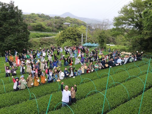 全国茶品評会で農林水産大臣賞を複数回受賞する「そのぎ茶」が有名(茶摘み時の写真)