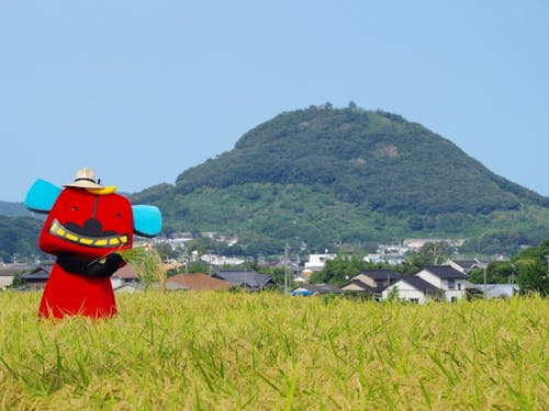 「農」で暮らす