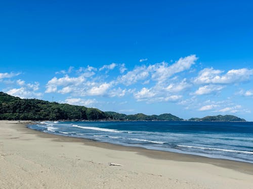 久保地さんが毎週通っていた生見の海