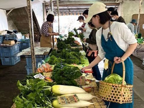 感じてください季節の野菜。