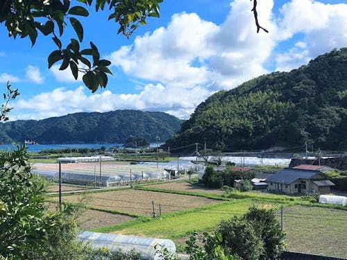 中土佐町久礼・大野地区の風景