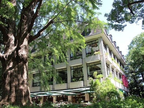 緑に囲まれた森のレストラン「日比谷松本楼」