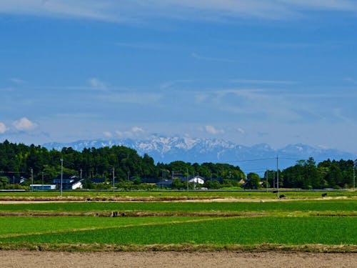 ４つのエリアから１つを選び、滞在拠点をイメージしてください