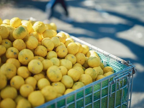 馬路村自慢の有機栽培ゆず