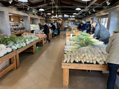 たくさんの採れたて地元野菜が並びます