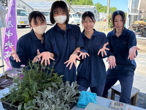 鉢花や花苗などの栽培も盛んに取り組んでいます!