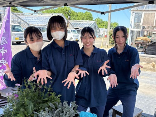 鉢花や花苗などの栽培も盛んに取り組んでいます！