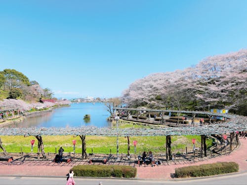 市外からも人が集まる人気の蓮華寺池公園です☆