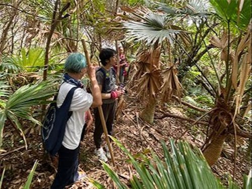 【課題解決①】登山道の情報収集