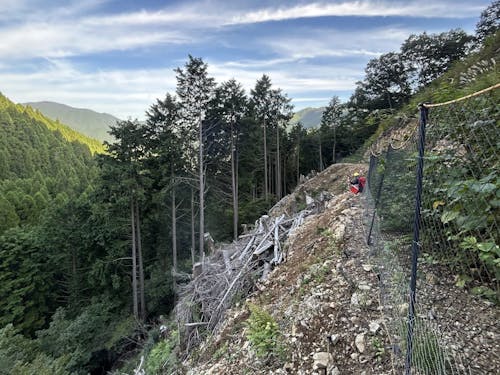 獣害柵の点検業務