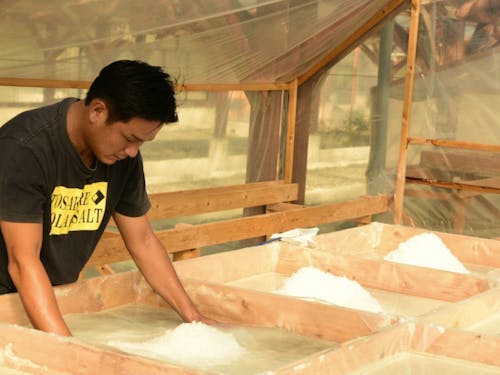 海水の状態から何度も攪拌作業を重ねて商品を育てます