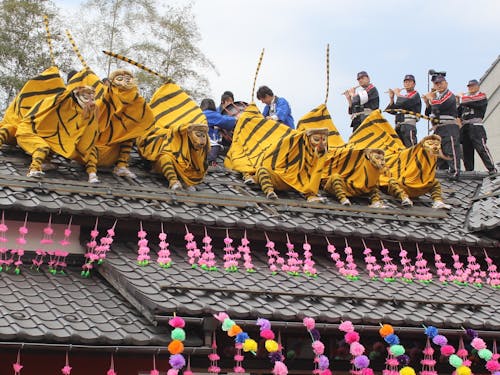 5万人以上の人が集まる「初午まつり 火伏せの虎舞」