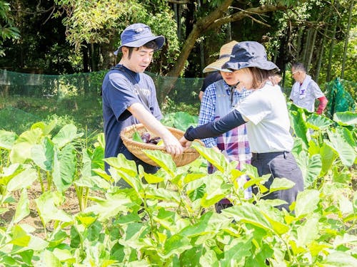 収穫した野菜を調理して食べる。これこそ贅沢! ※写真は夏のツアーの様子
