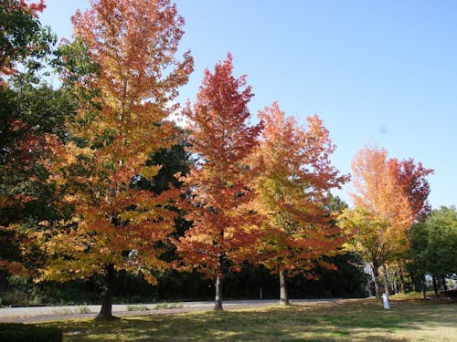 木々に囲まれた自然溢れる場所にある県内最大級の陶芸施設。街からのアクセスも◎