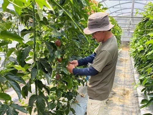 天城町農業センター(天城町)