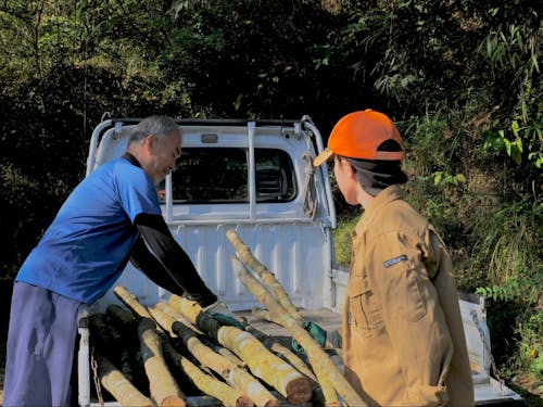 アラカシの木を積み込む様子