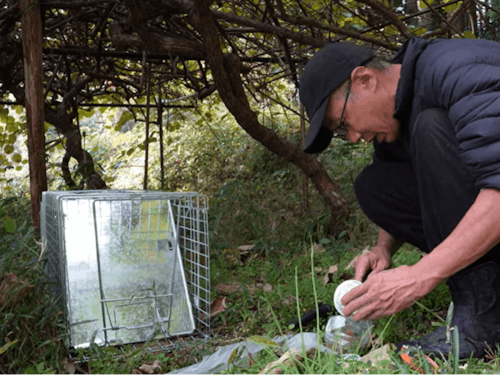 罠の設置（講座）