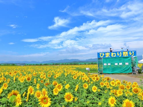豊富な観光資源と温暖な気候が魅力の山元町