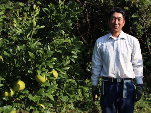 柑橘の発送や計量（松岡農園）