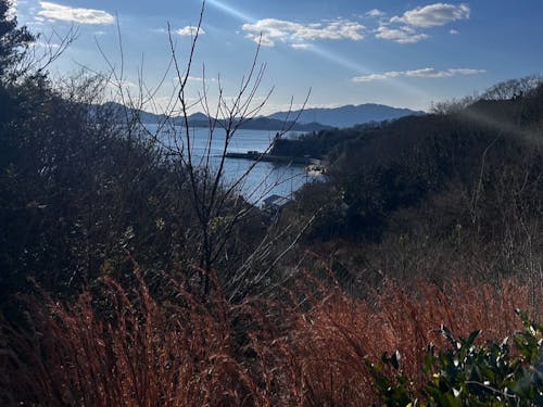 新プロジェクトの舞台は広大な山と畑!何をするかは未定!