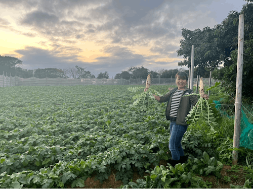 徳之島に移住したゲストです