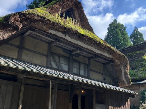 板取宿にある茅葺き屋根の家