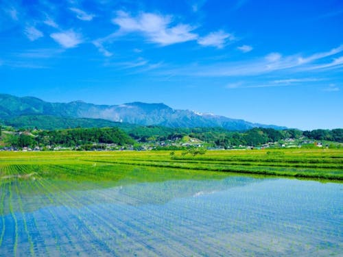南アルプスを望む豊丘村の美しい田園風景