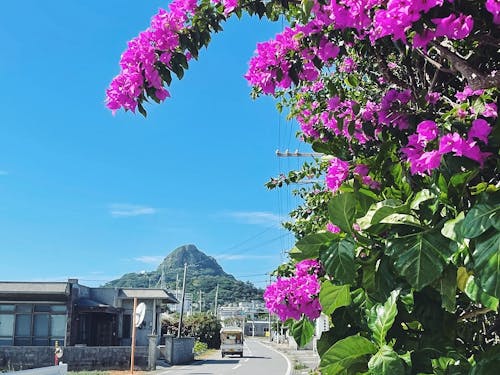 伊江島のシンボル「城山」と街並み