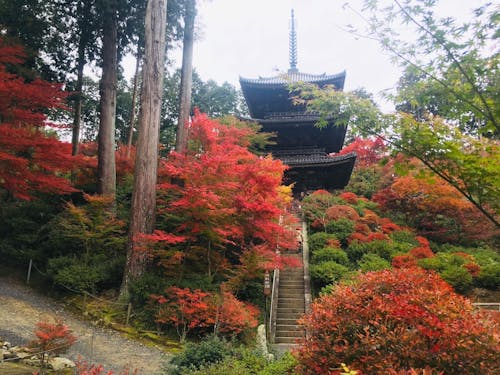 常楽寺（三重塔）