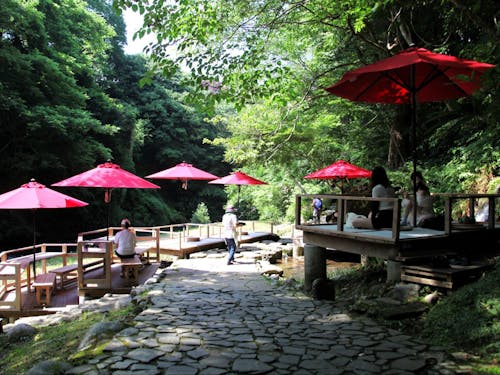 渓谷美を堪能しながら、お茶を味わえる温泉地「山中温泉」