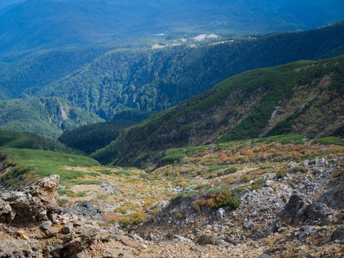 山小屋からの眺め