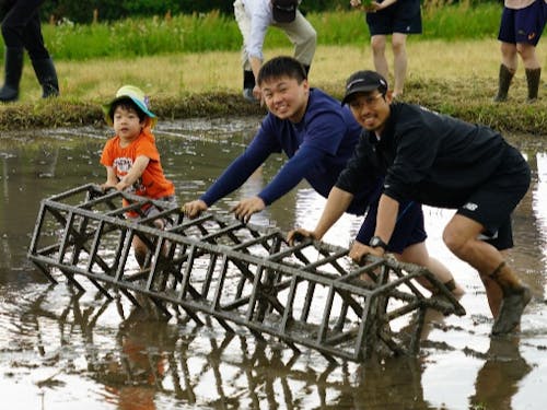 ころがしを使って田植え