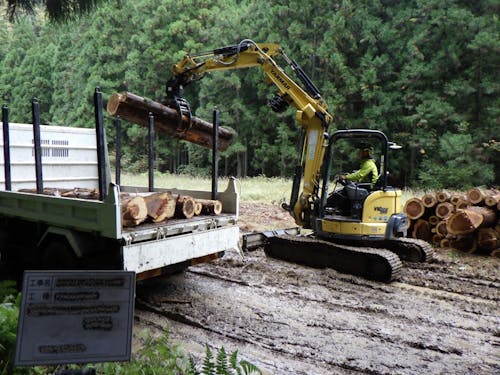 林業のリアルを学ぶ